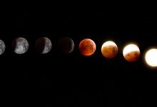 phases of the moon