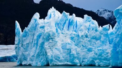 ice burg floating on water during daytime