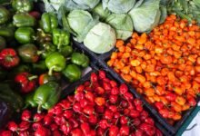 assorted vegetable store displays