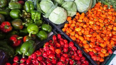 assorted vegetable store displays